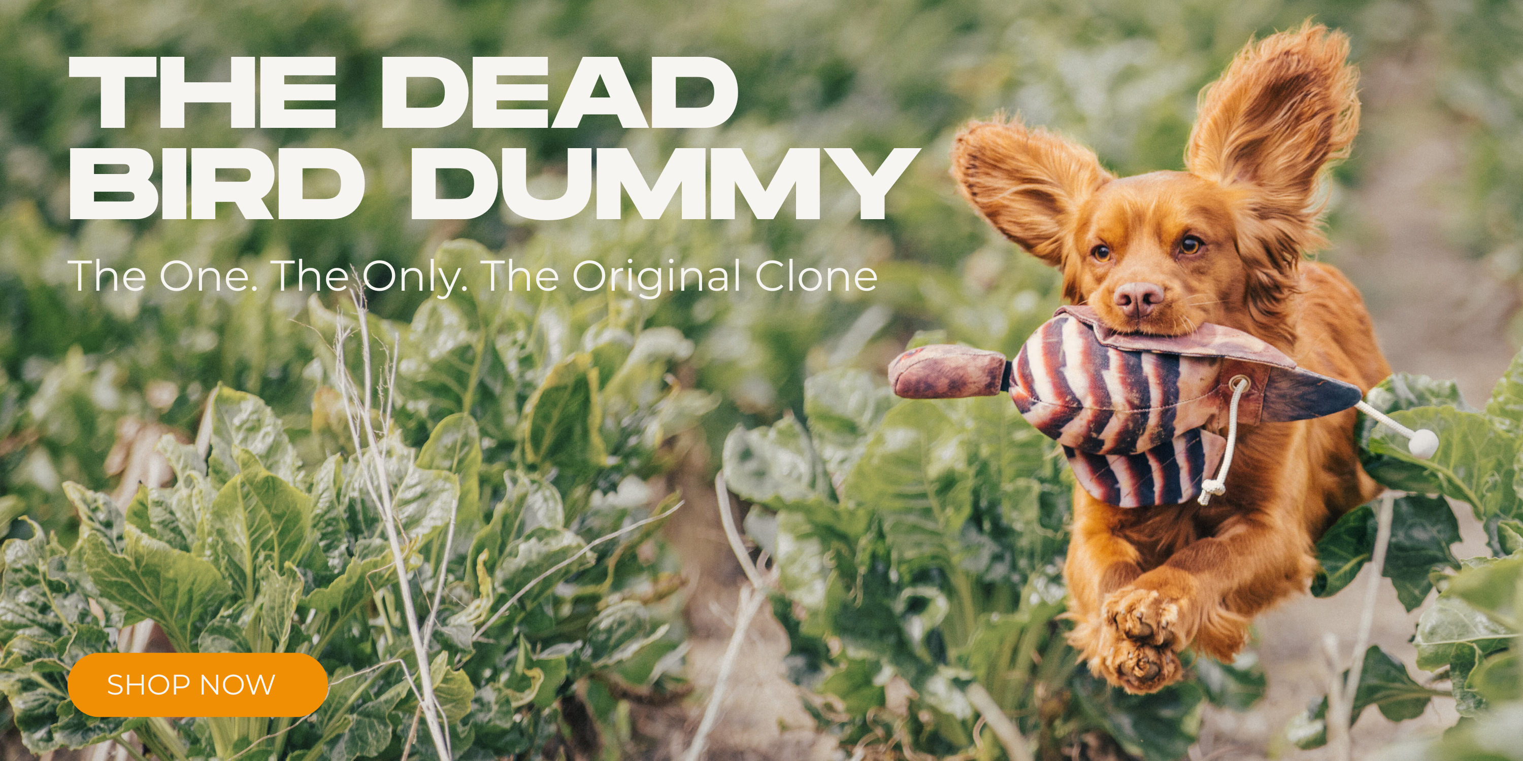 Master the Field with Precision